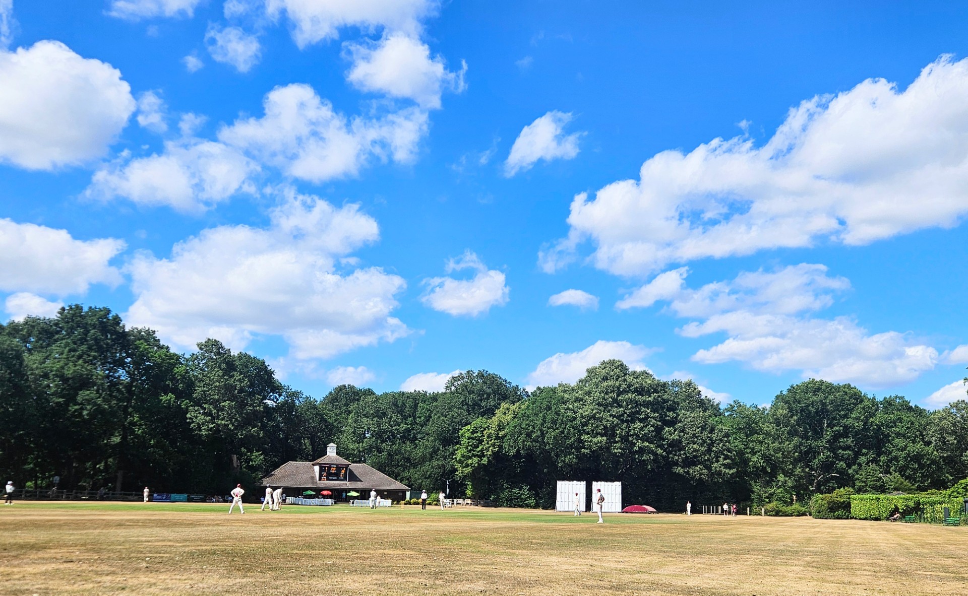 Surrey Cricket Championship – Week 8 Review